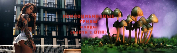 трава Верея