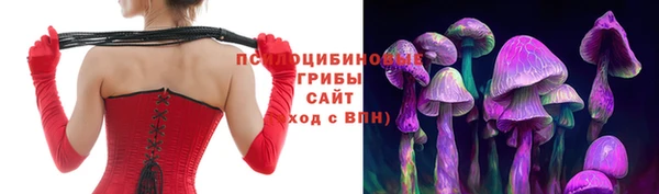 трава Верея