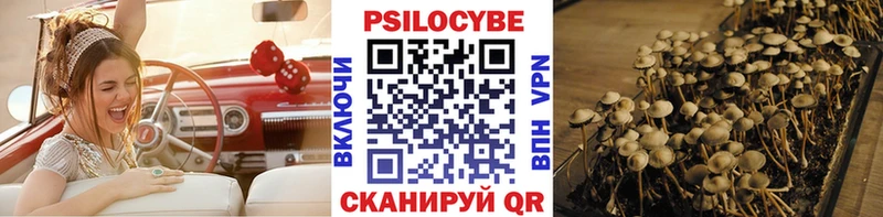 Псилоцибиновые грибы Psilocybine cubensis  купить   Белоозёрский 
