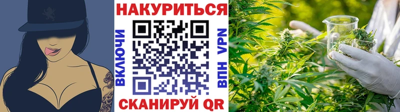 закладки Белоозёрский Бошки Шишки ГИДРОПОН